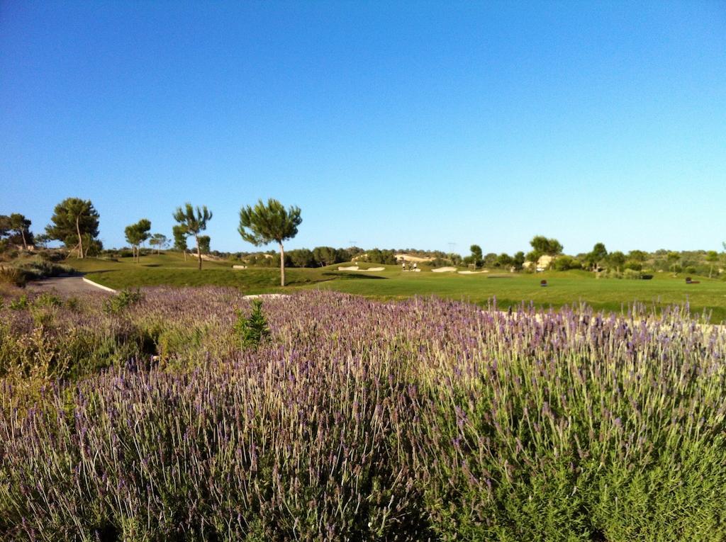 Villa In Spain At Las Colinas Golf & Country Club Dehesa de Campoamor  Extérieur photo